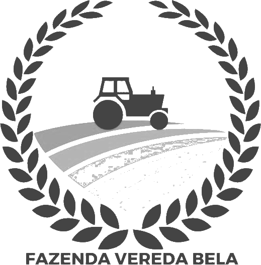 Fazenda Vereda Bela